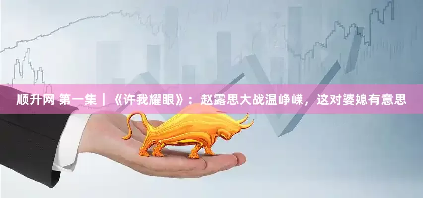 顺升网 第一集｜《许我耀眼》：赵露思大战温峥嵘，这对婆媳有意思